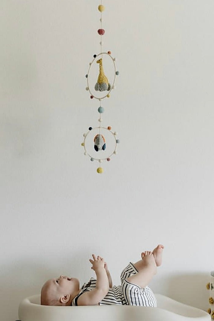 Elephant & Giraffe Main