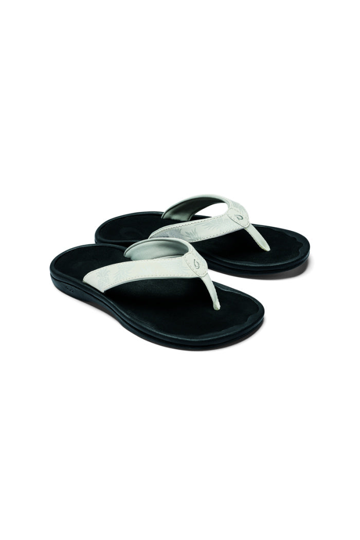 Bright White Pineapple WBHQ