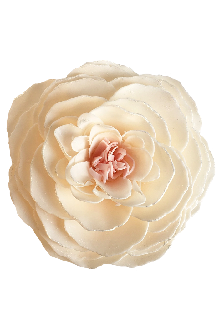 Butterfly Kisses Main