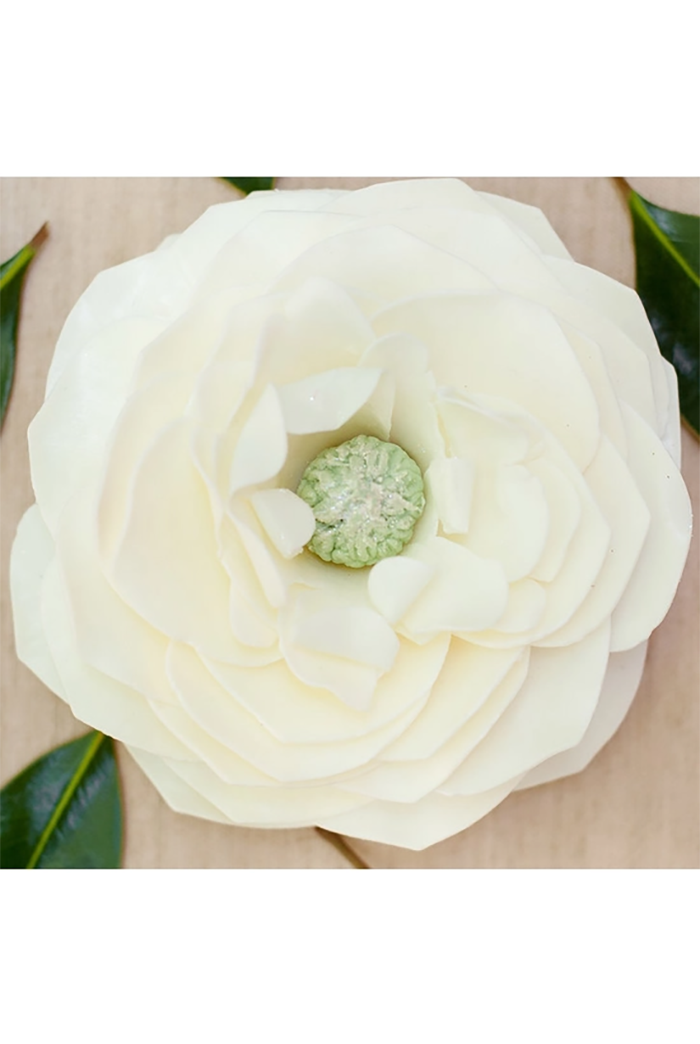 Mississippi Queen Main