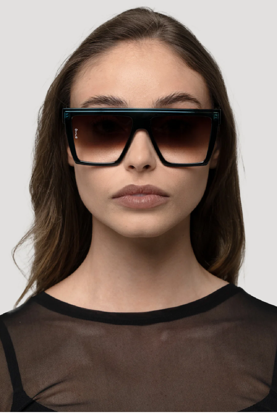 Trans Navy / Brown Main