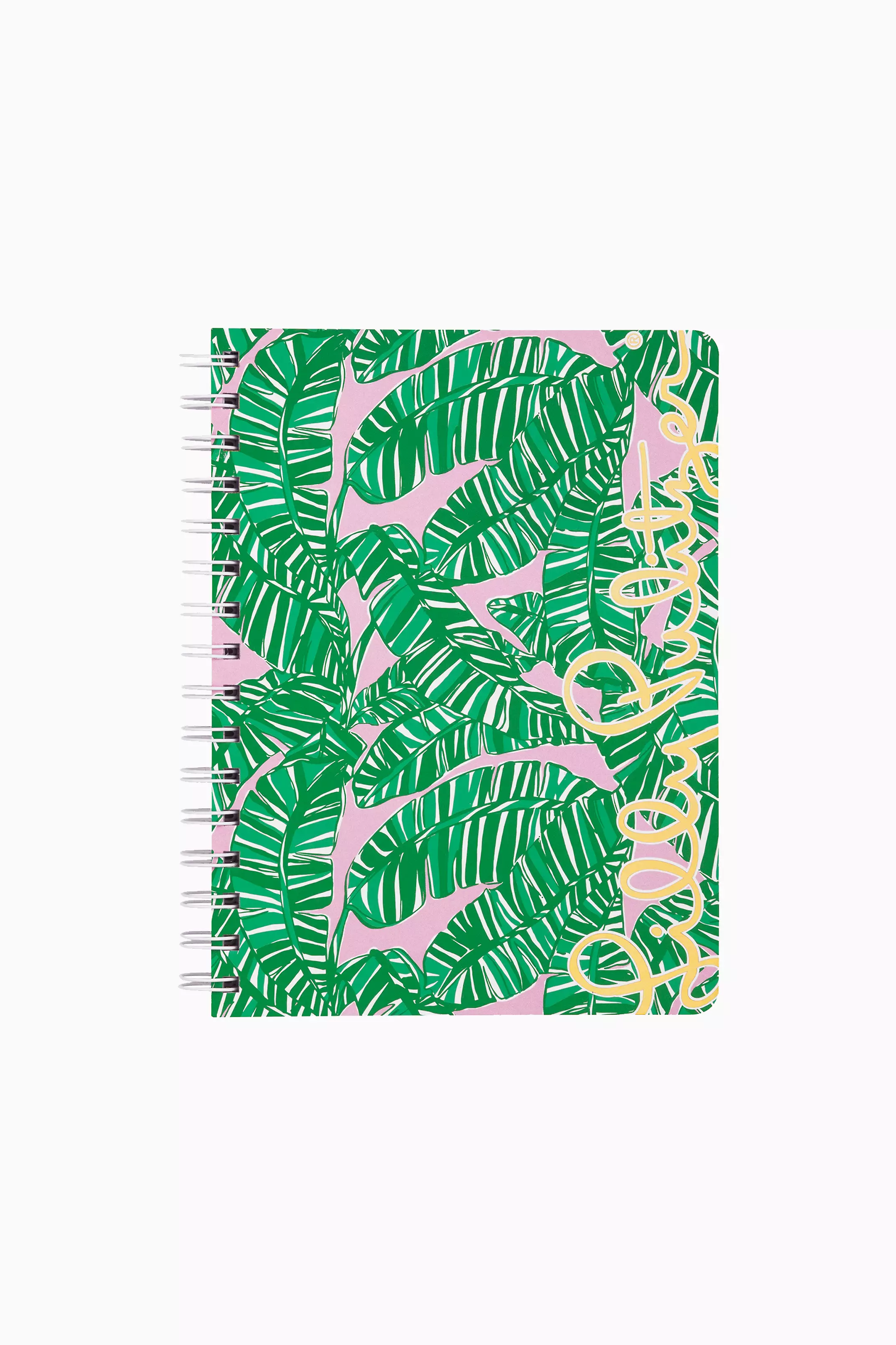 Conch Shell Pink Lets Go Bananas Main