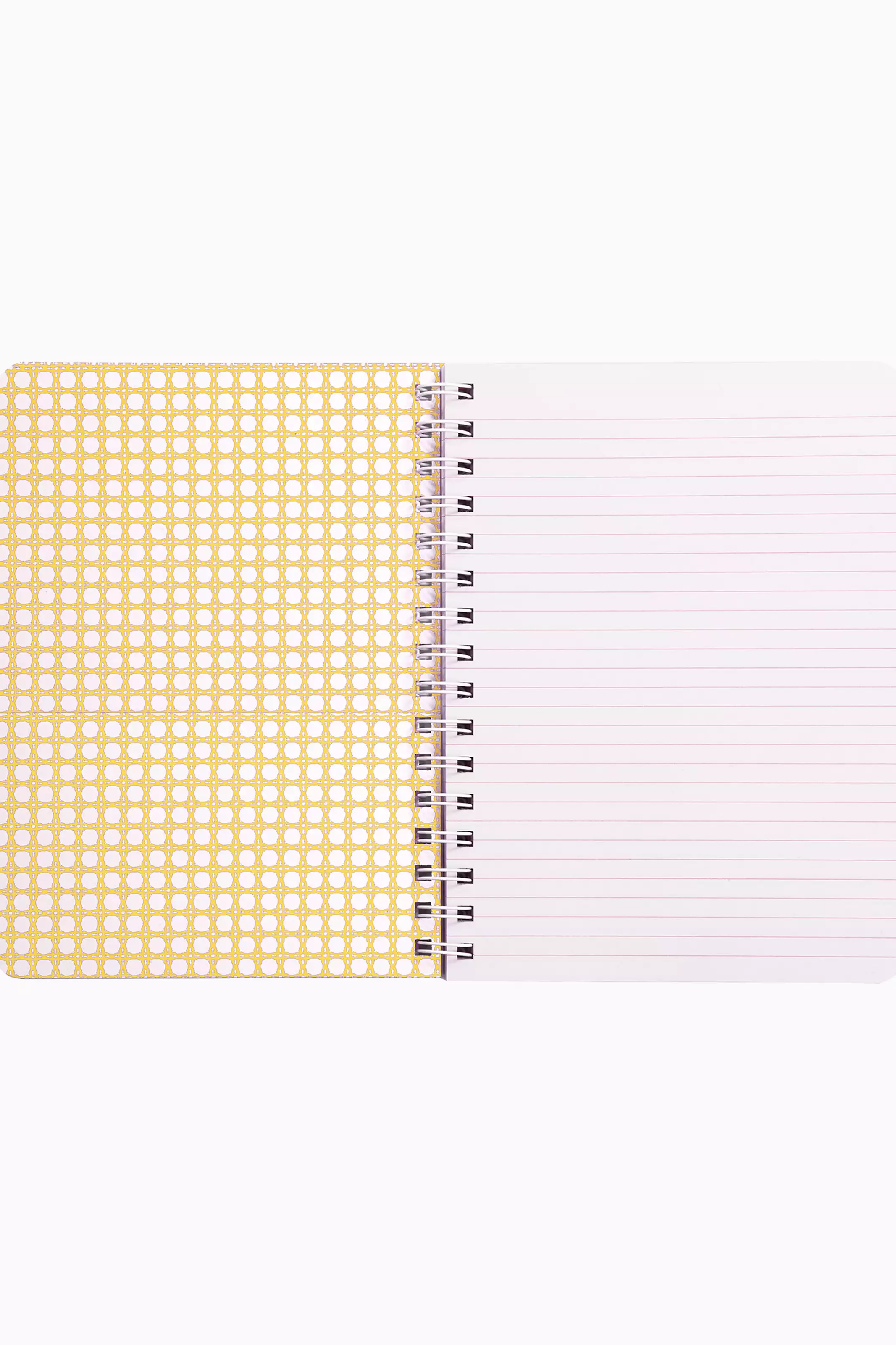 Conch Shell Pink Lets Go Bananas