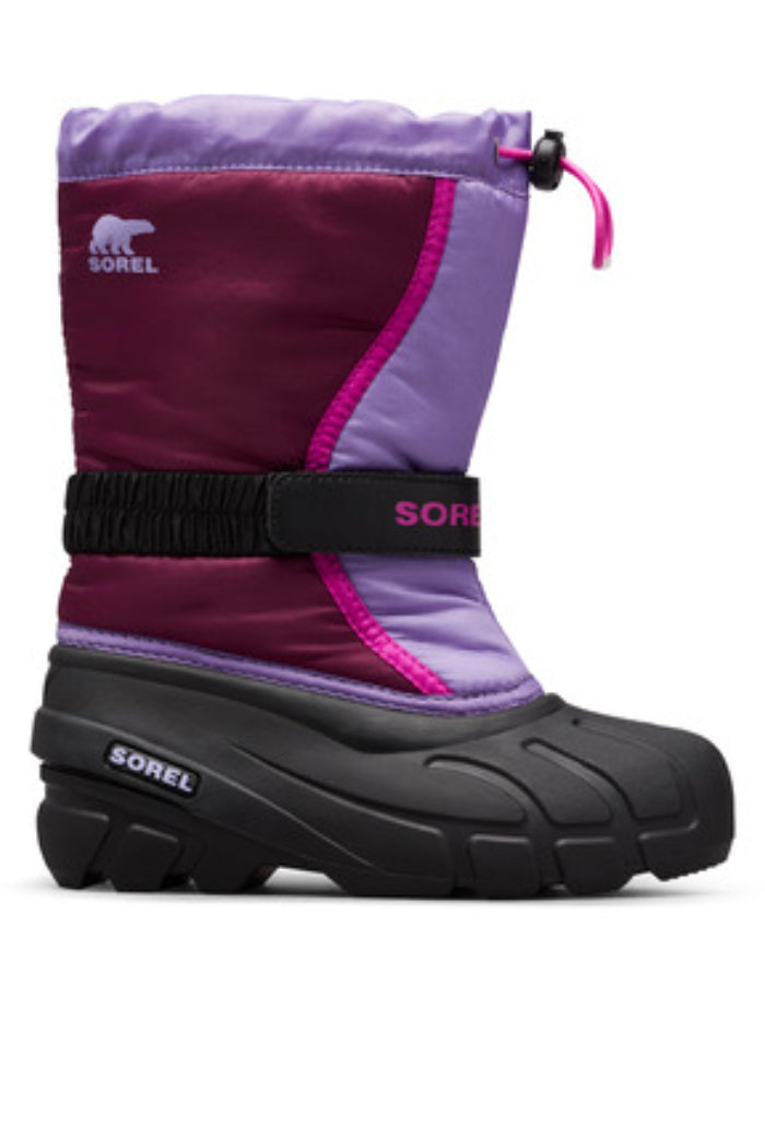 Purple Dahlia, Paisley Purple Main