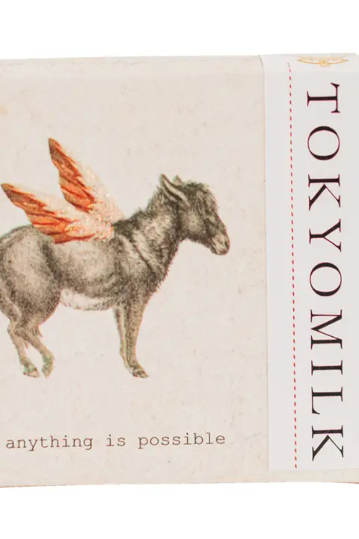 Donkey with wings Anything Is Possible (Green Tea Fragrance) Main