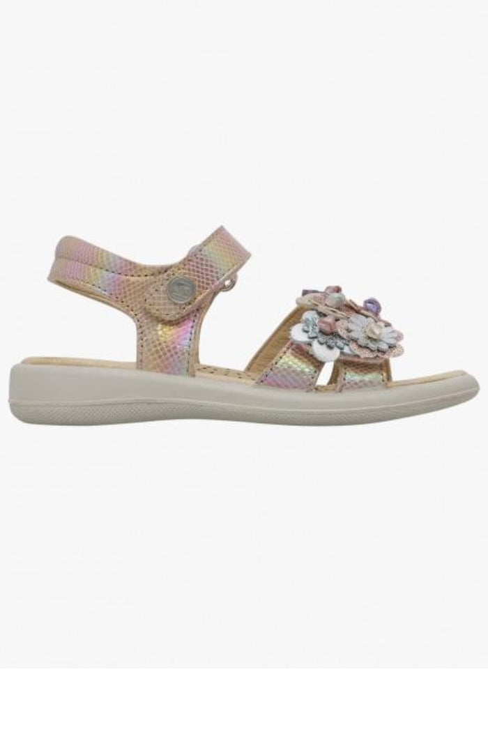 FUNKY IRIDESCENT PHARD-MULTI Main