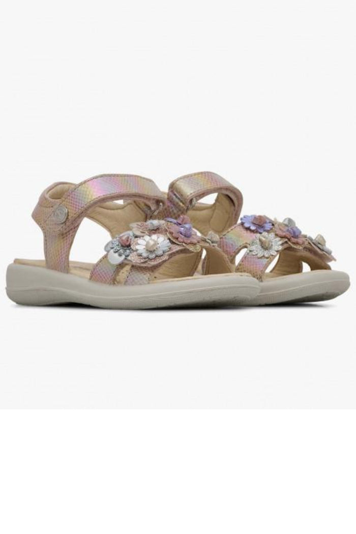 FUNKY IRIDESCENT PHARD-MULTI