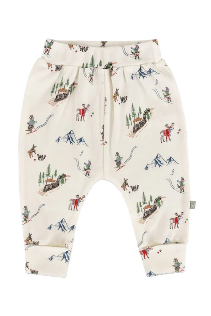 mountain express Main