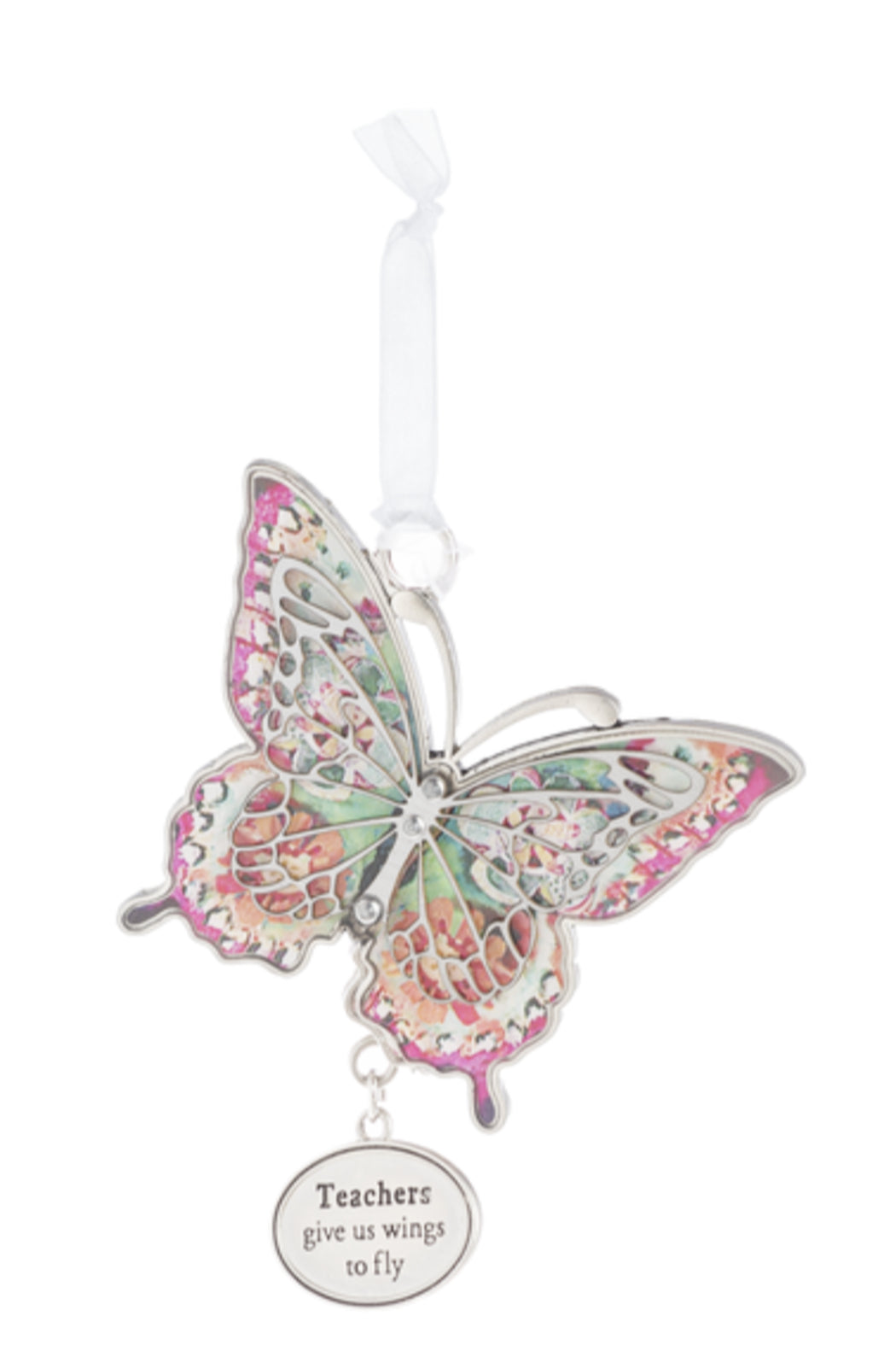 Teacher Wings Multicolor Main