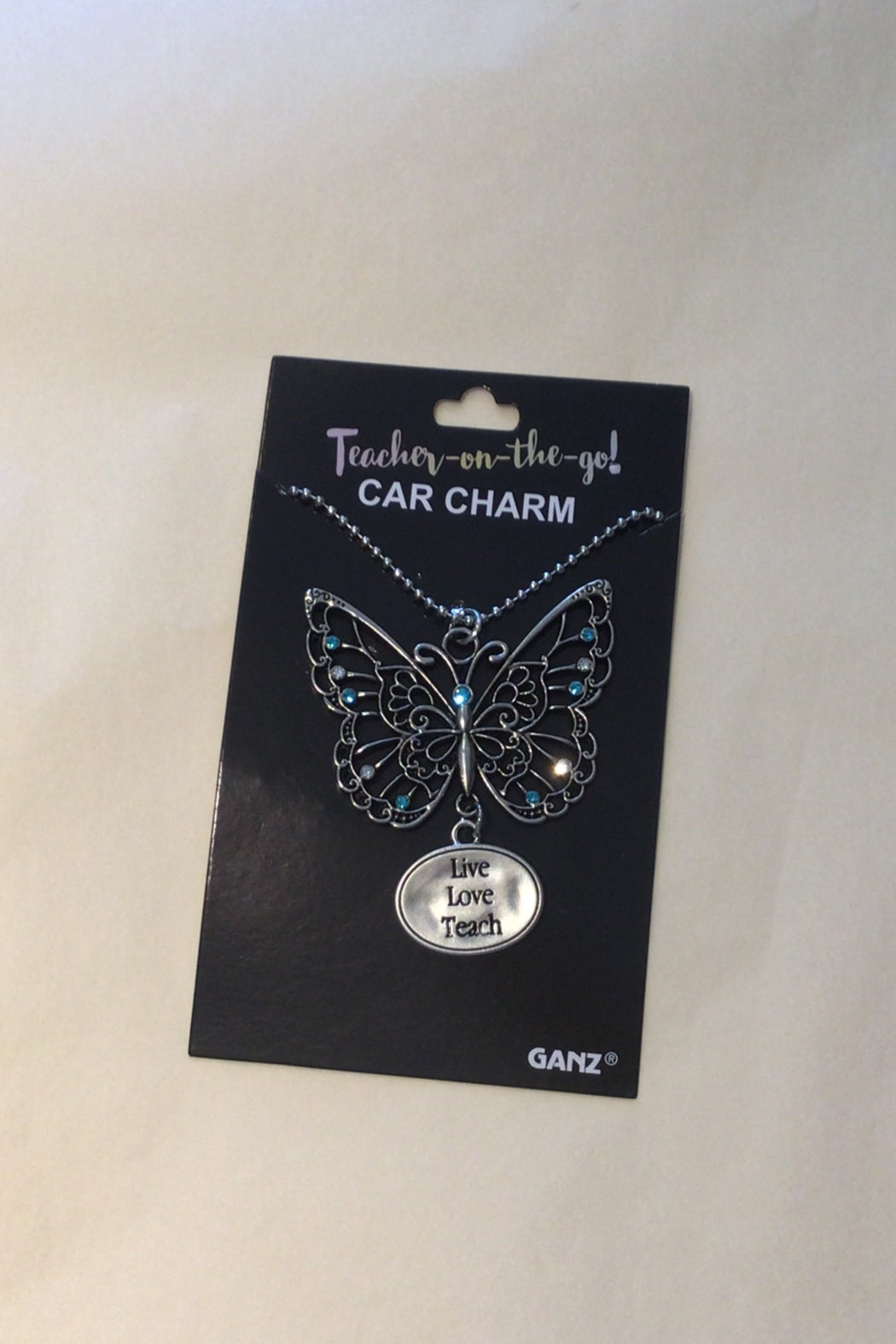 Teacher Live Multicolor Main