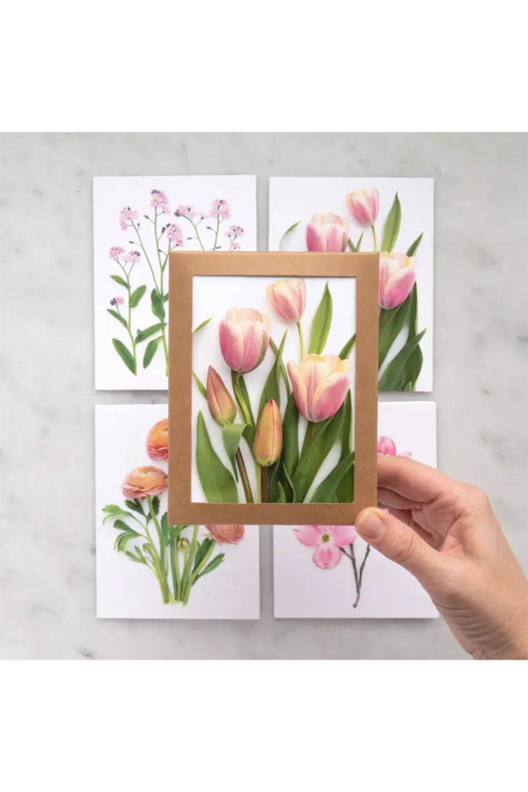 Pink Spring Flowers Main