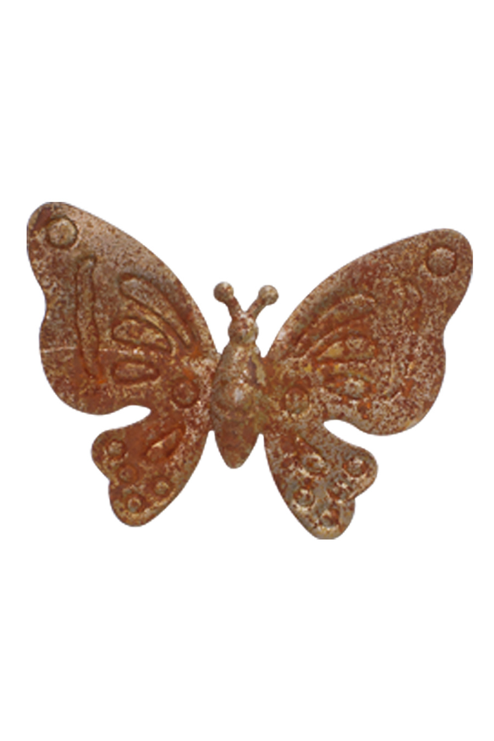 Brown Main