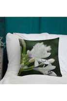 WHITE AGAPANTHUS Main