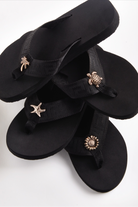 Black Sea Turtle Main