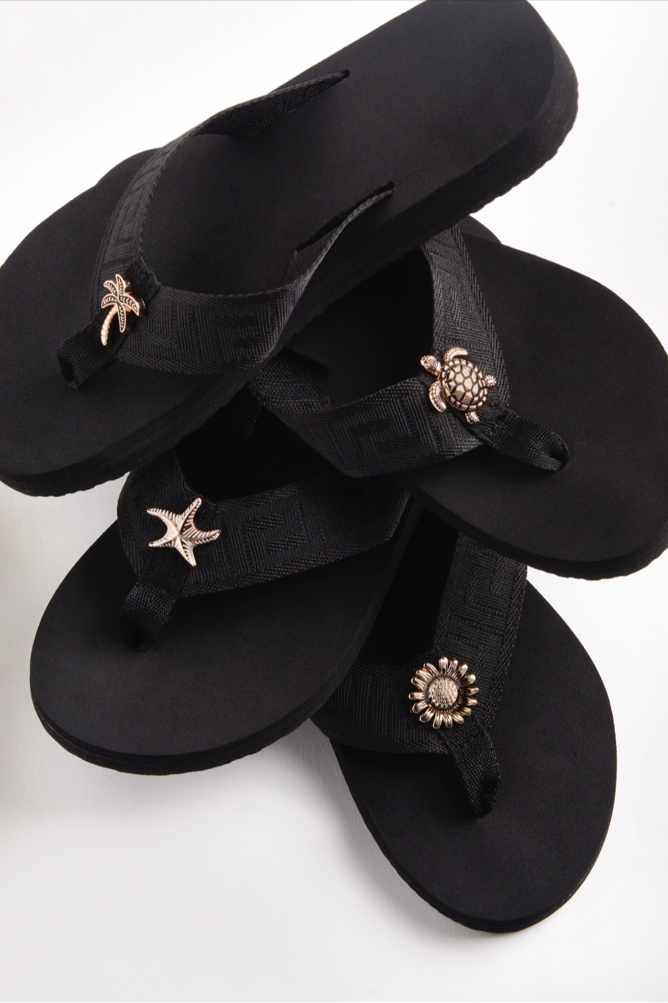 Black Sea Turtle Main