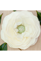 Mississippi Queen Main