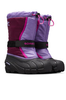 Purple Dahlia, Paisley Purple