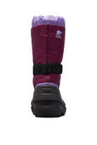 Purple Dahlia, Paisley Purple