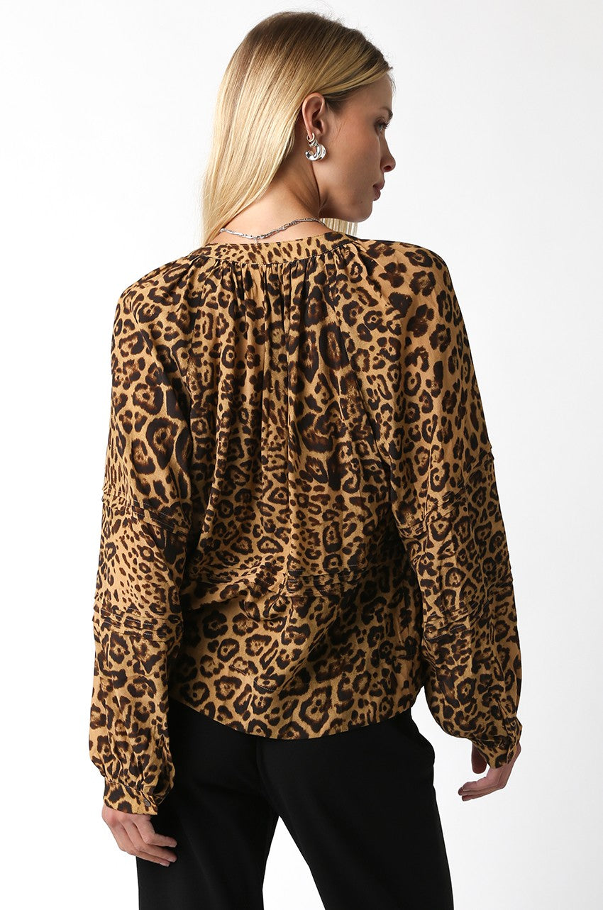 Leopard