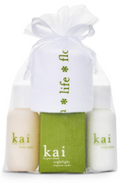Kai Gift bag Main