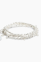 Classic/Teardrop/Silver Main