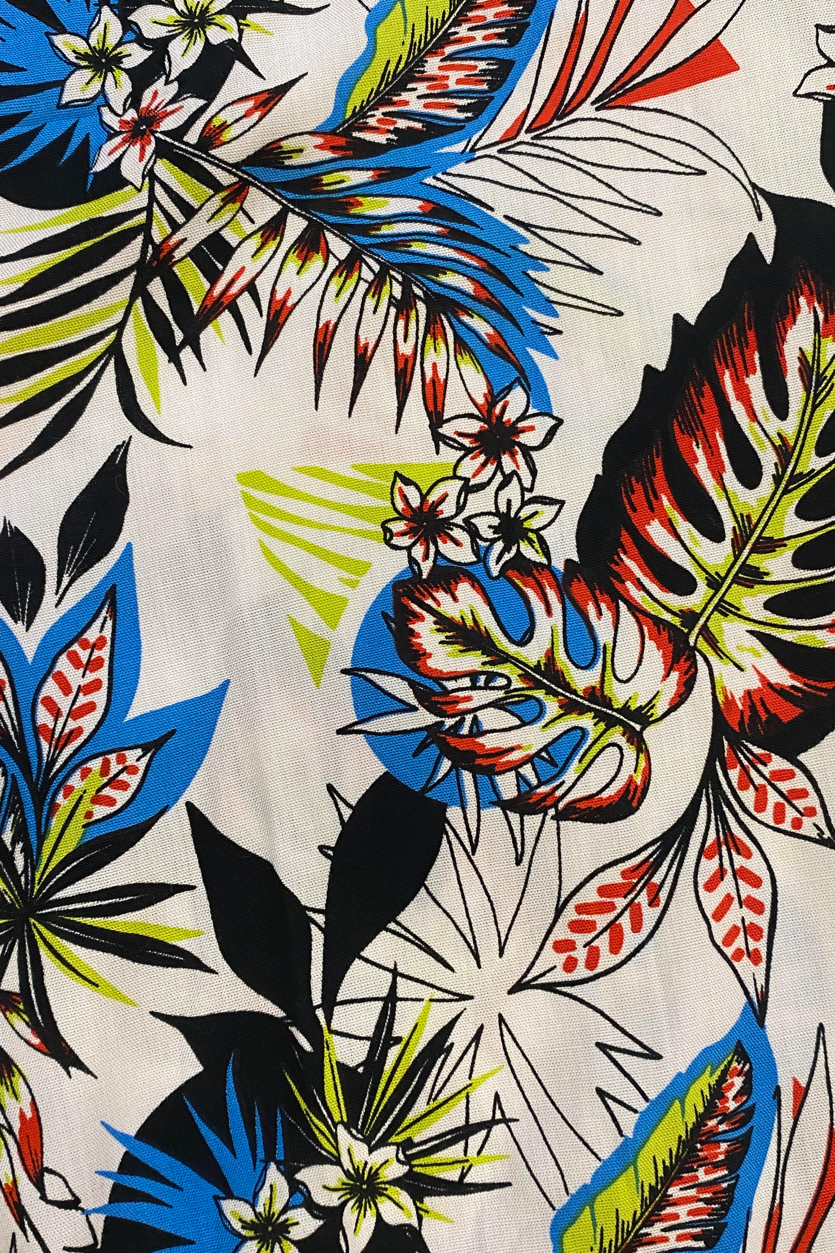 Down Town Tropics Main