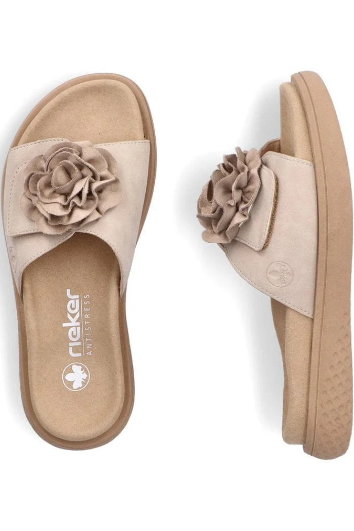 Beige Main