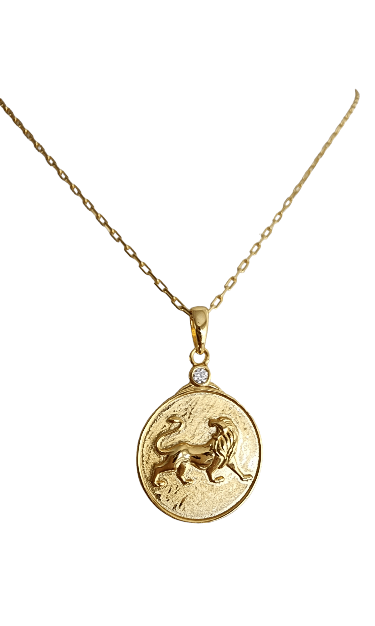 Zodiac Leo Necklace