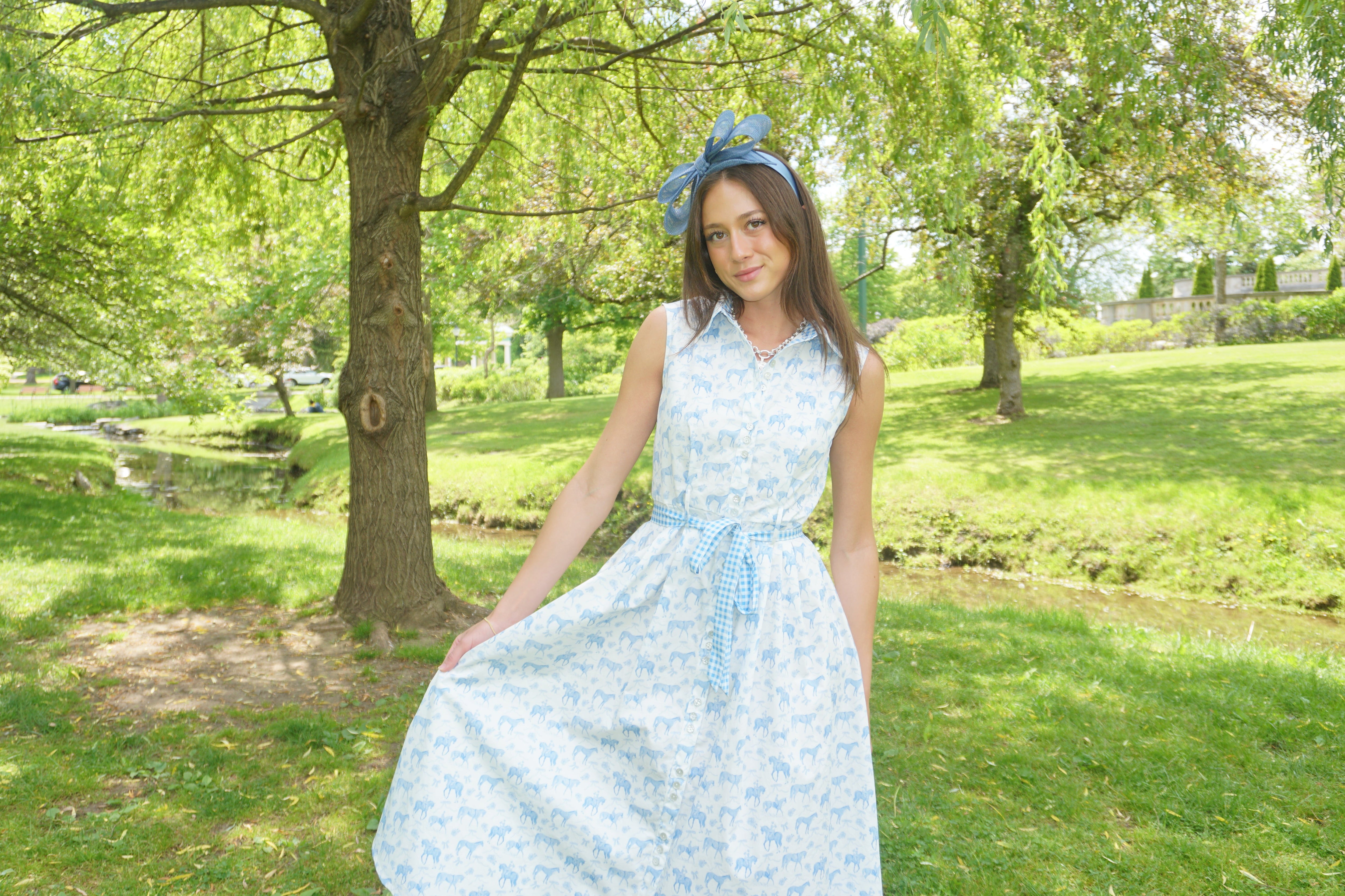 Equestrian Toile Shirt Dress Large