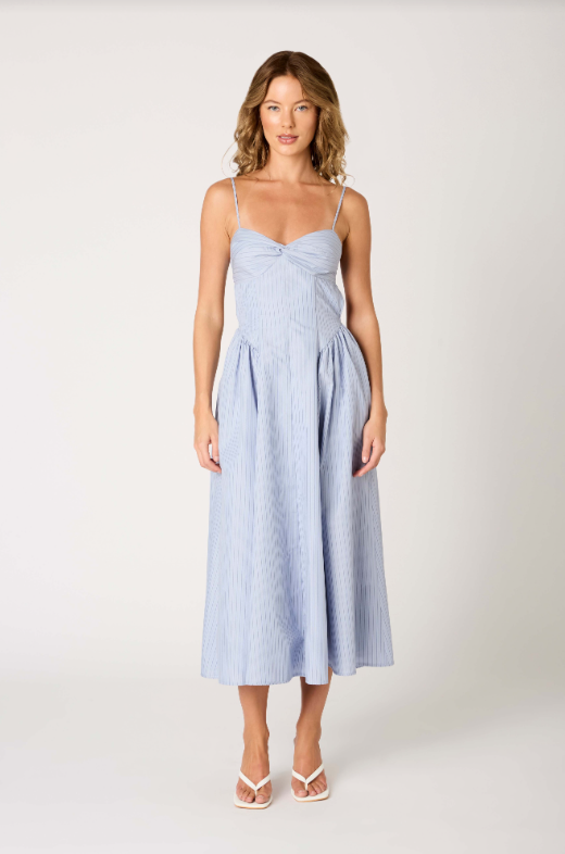 sachin and babi light blue dress Formal Maxi Dresses