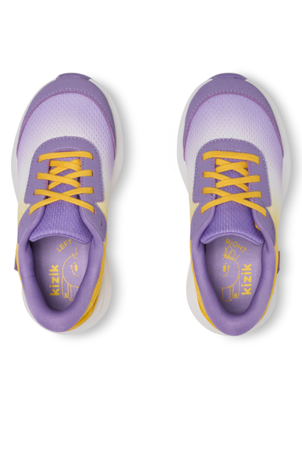 FAIRY WREN/SPECTRA YELLOW