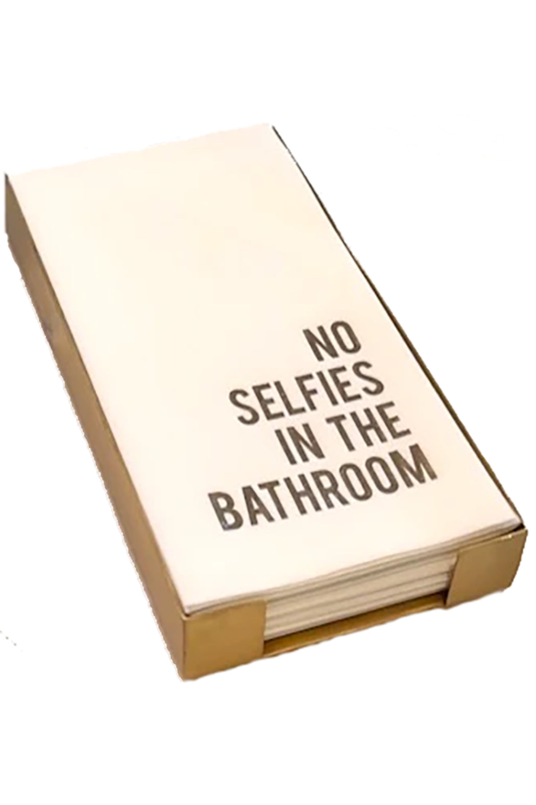 No Selfies in the Bathroom Main