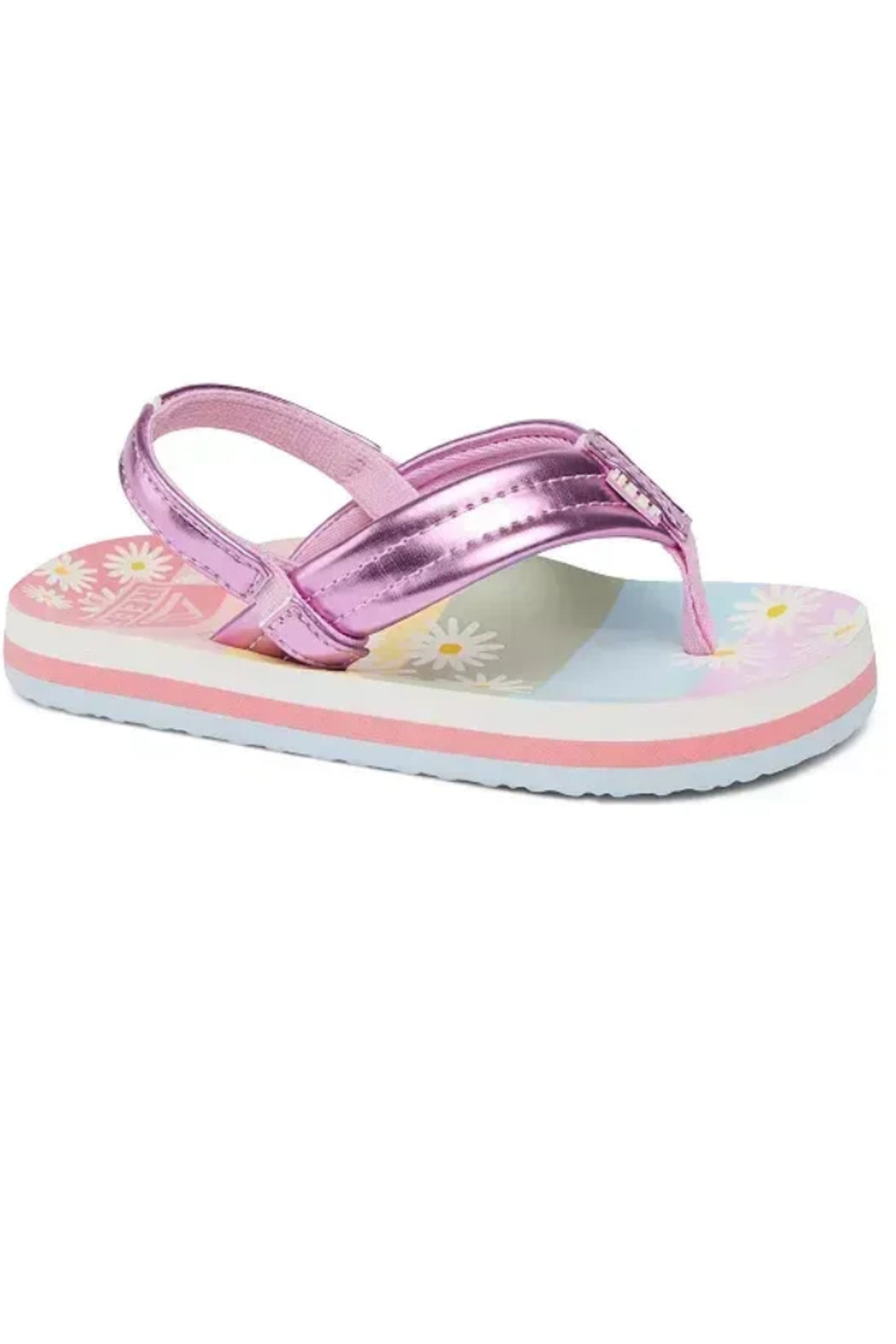 Lavander Daisy Main