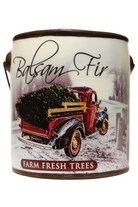 Balsam Fir