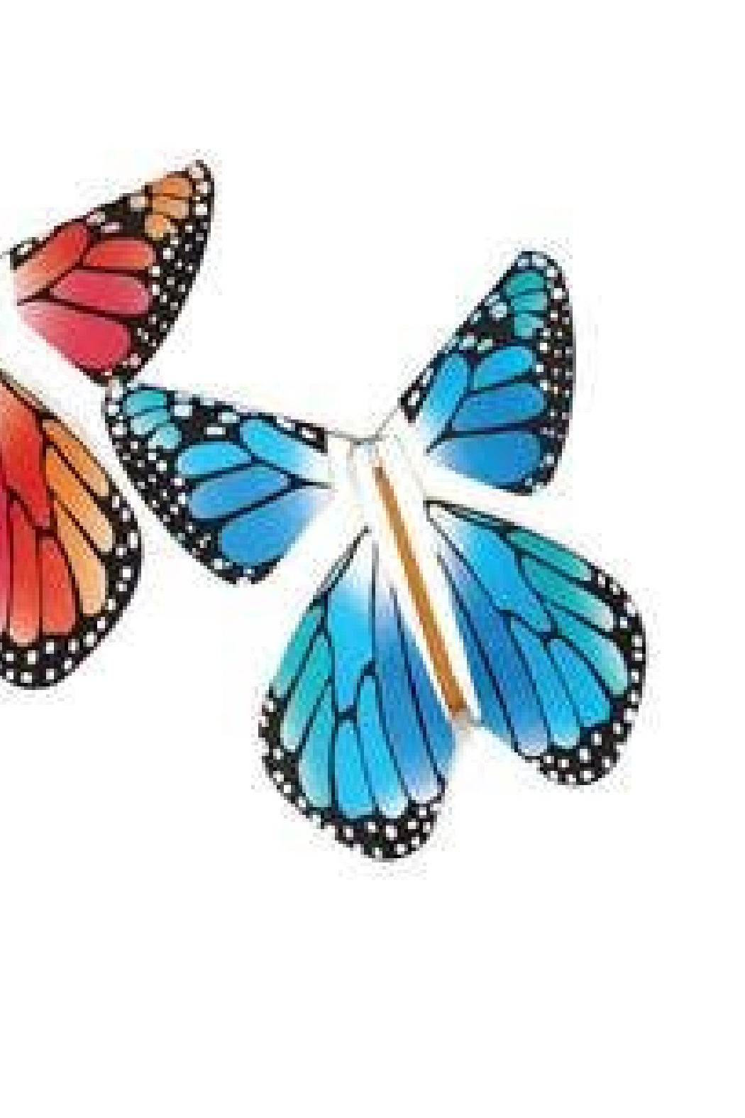 https://shoptiques.com/cdn/shop/products/magic-flying-butterfly-rainbow-blue-053f9193_l.jpg?v=1679707114